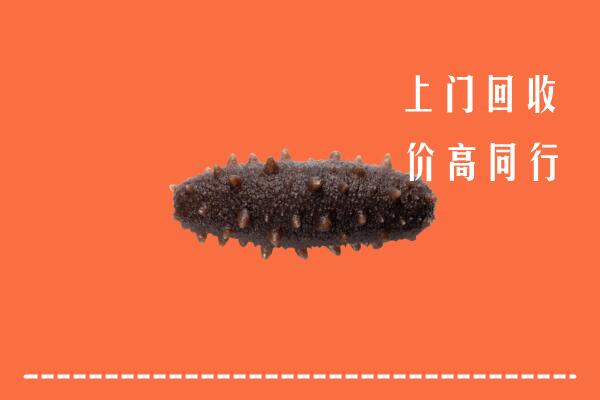 高价求购：南阳回收海参