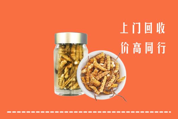 南阳回收冬虫夏草